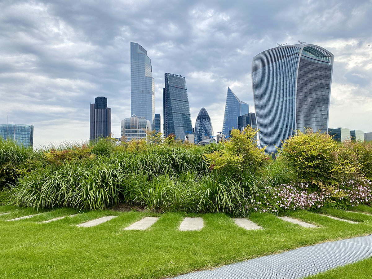 Union Home Minister Amit Shah has urged the Confederation of Real Estate Developers Association of India (CREDAI) to ensure every real estate project has a space dedicated to greenery.