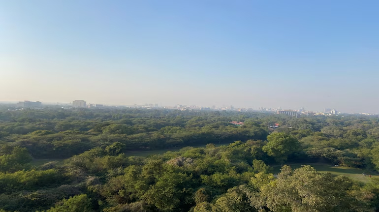 Land deals up 48% in 2024, Delhi-NCR leads the pack